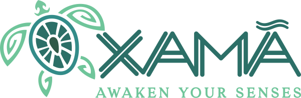 Logo de Pousada Xamã